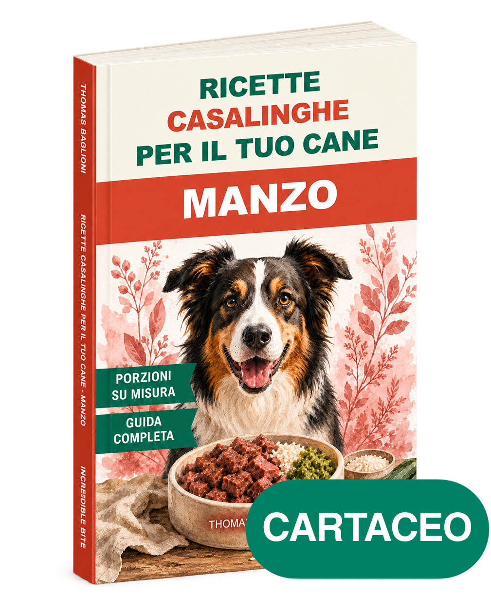 Ricette casalinghe per il tuo cane – Manzo